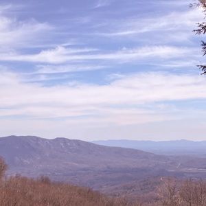 Meet your Posher, Ally